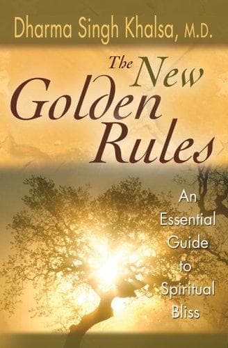 Tapa de The new golden rules
