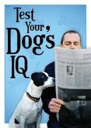 Tapa de Test Your Dog's IQ