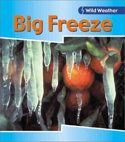 Tapa de Big Freeze (Wild Weather)