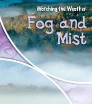 Tapa de Fog And Mist