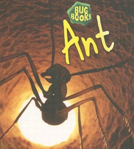 Tapa de Ant