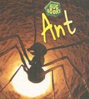 Tapa de Ant