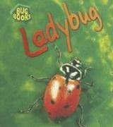 Tapa de Ladybug