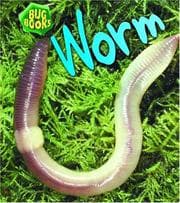 Tapa de Worm (Bug Books)