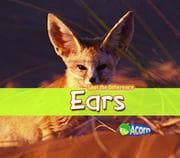 Tapa de Ears (Spot the Difference)