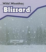 Tapa de Blizzard