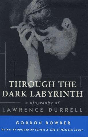Tapa de Through the dark labyrinth