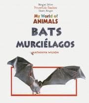 Tapa de Bats/Murceilagos