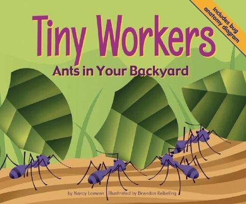 Tapa de Tiny Workers