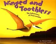 Tapa de Winged and Toothless