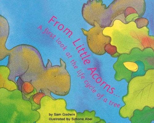Tapa de From little acorns--