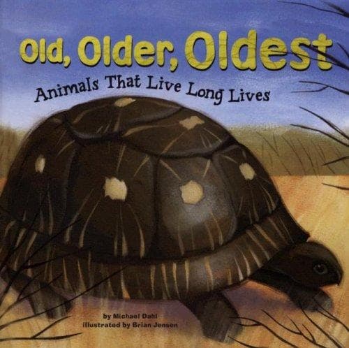 Tapa de Old, Older, Oldest