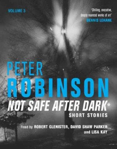 Tapa de Not Safe After Dark