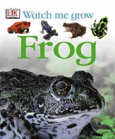 Tapa de Frog