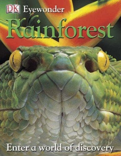 Tapa de Rainforest (Eye Wonder)