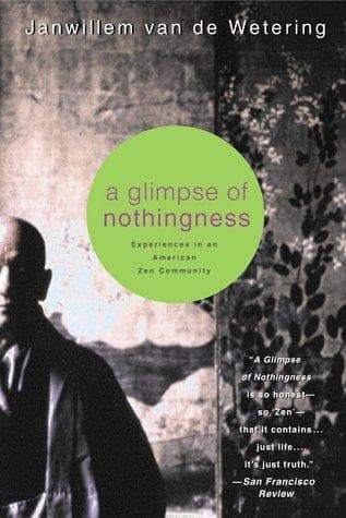 Tapa de A glimpse of nothingness