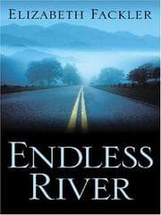 Tapa de Endless River