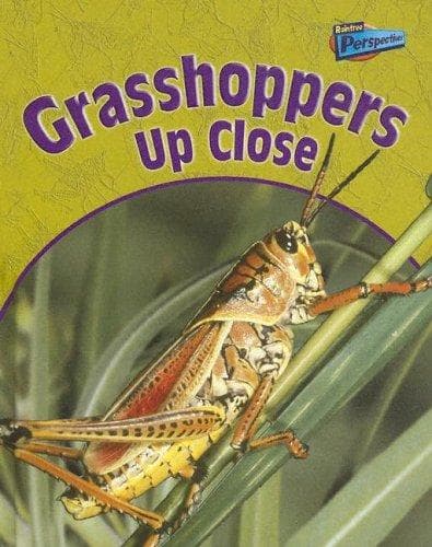Tapa de Grasshoppers Up Close (Minibeasts Up Close)