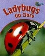 Tapa de Ladybugs Up Close (Minibeasts Up Close)