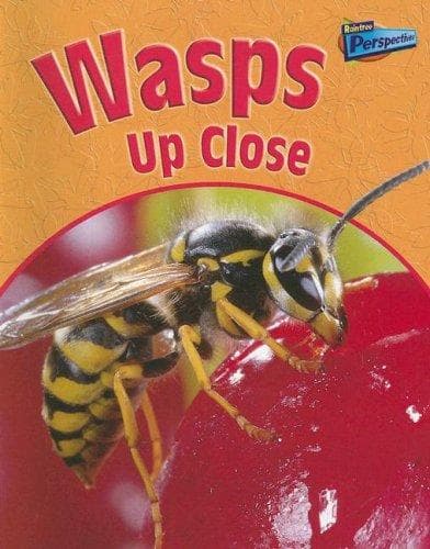 Tapa de Wasps up close