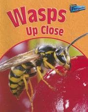 Tapa de Wasps up close