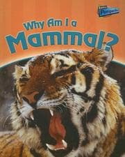 Tapa de Why Am I a Mammal? (Classifying Animals)