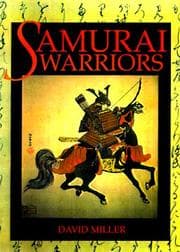 Tapa de Samurai Warriors
