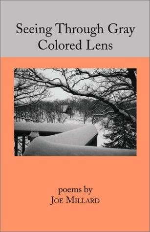 Tapa de Seeing Through Gray Colored Lens