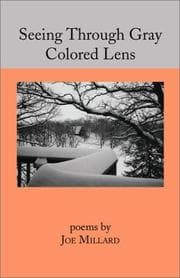 Tapa de Seeing Through Gray Colored Lens
