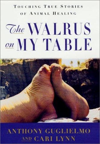 Tapa de The walrus on my table