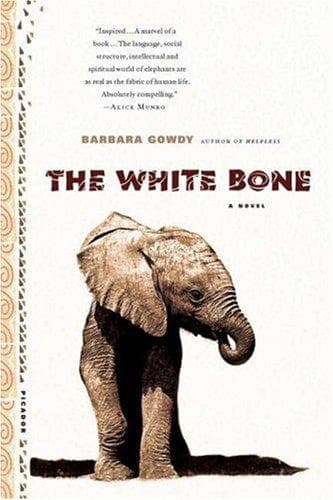 Tapa de The White Bone