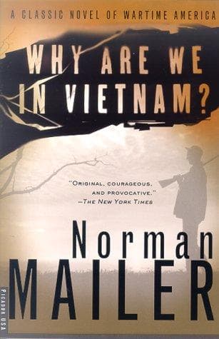 Tapa de Why Are We in Vietnam?
