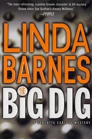 Tapa de The big dig