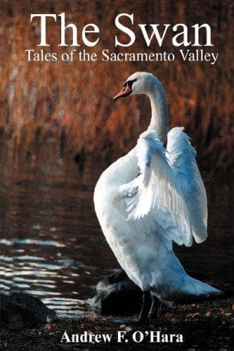 Tapa de The Swan