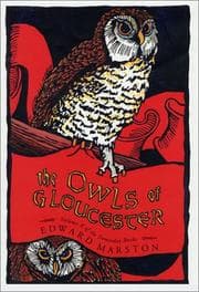 Tapa de The owls of Gloucester
