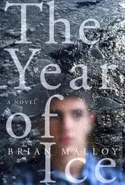 Tapa de The year of ice