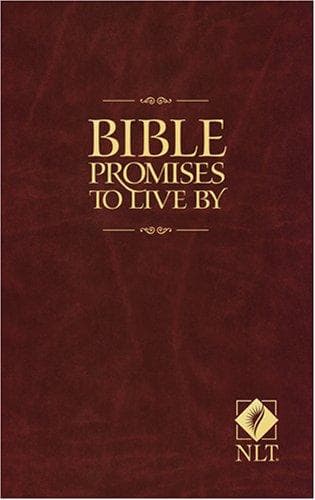 Tapa de Bible Promises to Live By