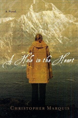 Tapa de A hole in the heart