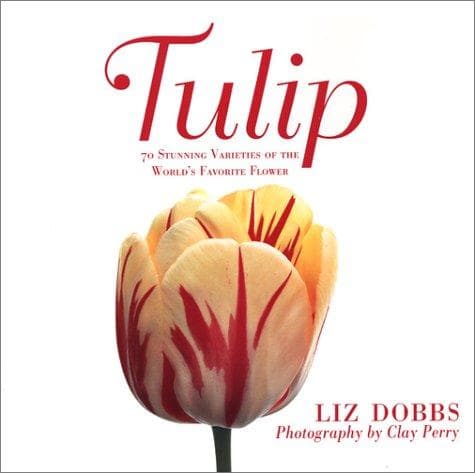 Tapa de Tulip