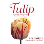 Tapa de Tulip
