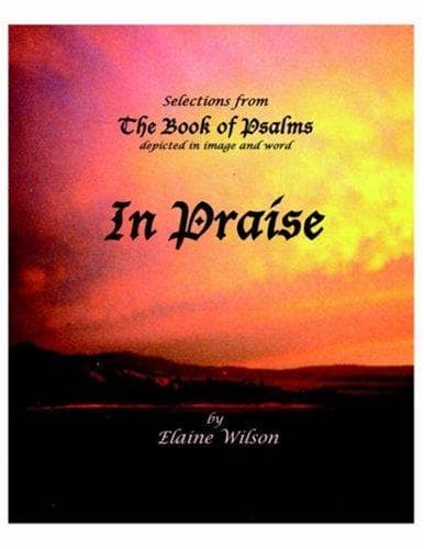 Tapa de In Praise