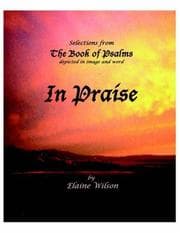 Tapa de In Praise