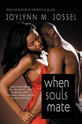 Tapa de When souls mate