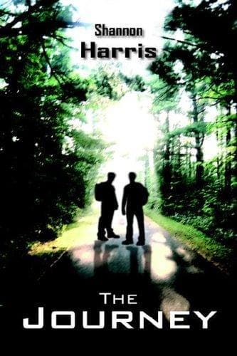Tapa de The Journey