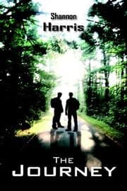 Tapa de The Journey