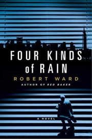 Tapa de Four Kinds of Rain