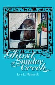 Tapa de Ghost of Sunday Creek