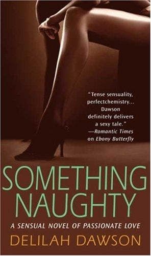 Tapa de Something Naughty