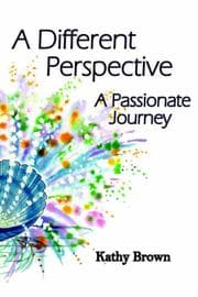 Tapa de A Different Perspective