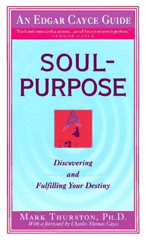 Tapa de Soul Purpose